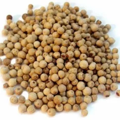 Poivre blanc de Penja du Cameroun / Poivre blanc de Penja / Poivre blanc / Poivre en grains bio / Épices et assaisonnements africains